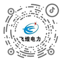 河南飞煌电力集团有限公司